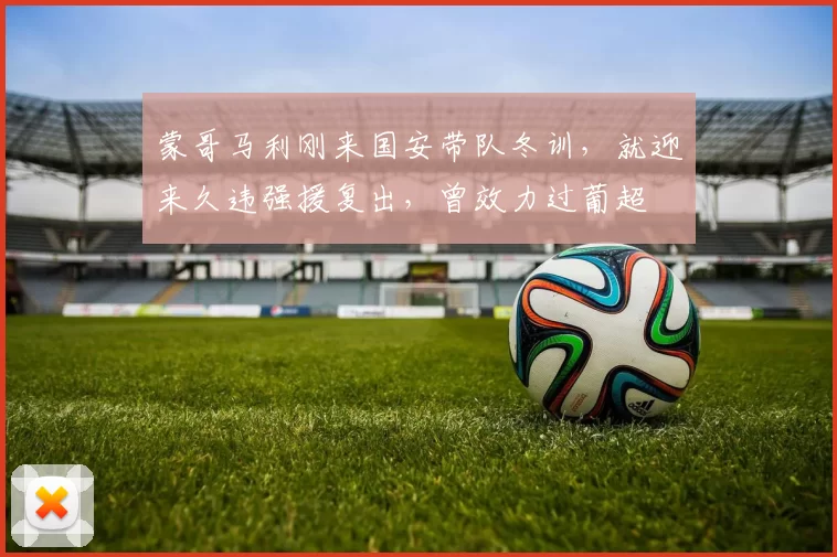 蒙哥马利刚来国安带队冬训，就迎来久违强援复出，曾效力过葡超