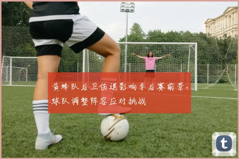 黄蜂队后卫伤退影响季后赛前景，球队调整阵容应对挑战