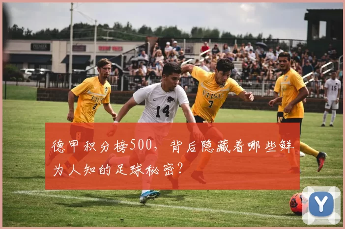 德甲积分榜500，背后隐藏着哪些鲜为人知的足球秘密？