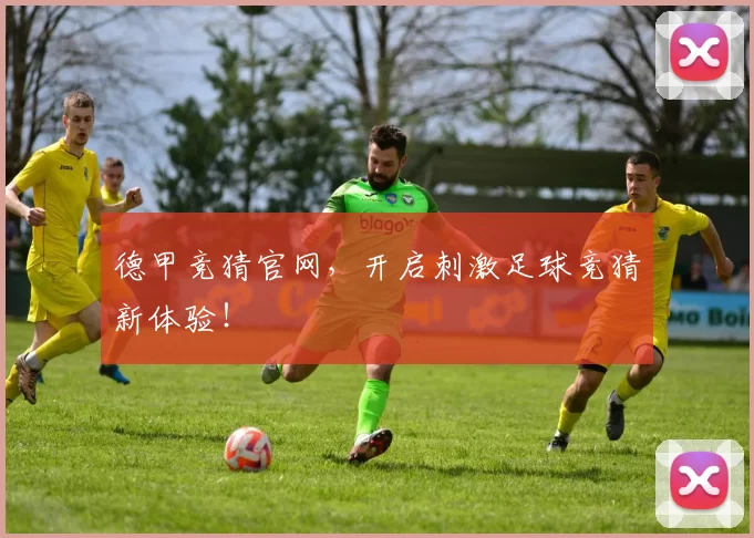 德甲竞猜官网，开启刺激足球竞猜新体验！