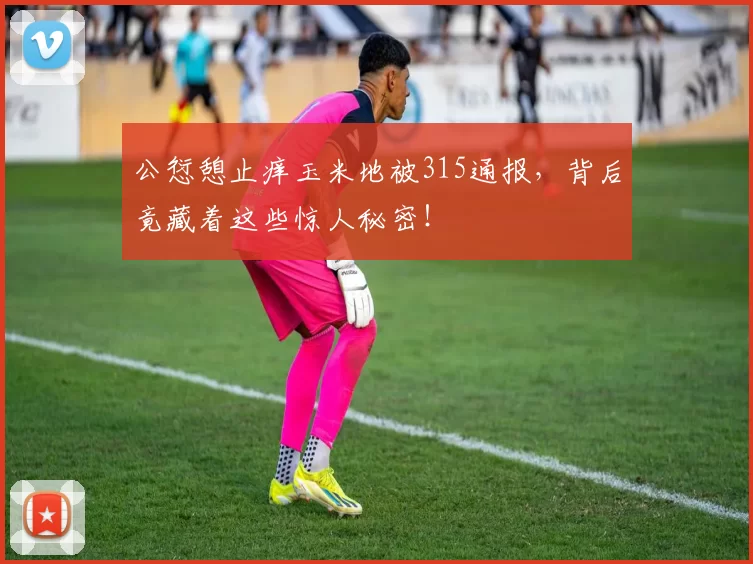 公愆憩止痒玉米地被315通报，背后竟藏着这些惊人秘密！