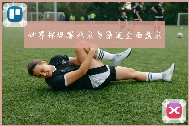 世界杯观赛地点与渠道全面盘点