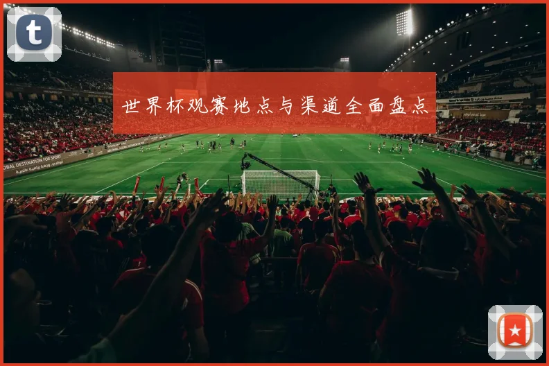 世界杯观赛地点与渠道全面盘点