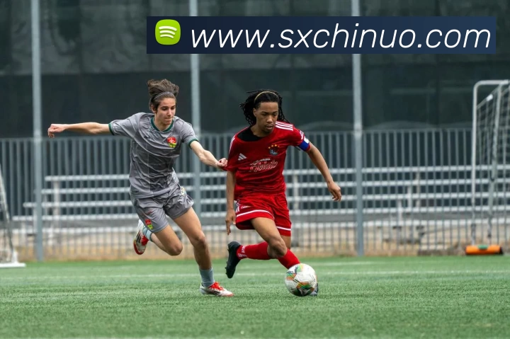 爱游戏平台官网品牌故事